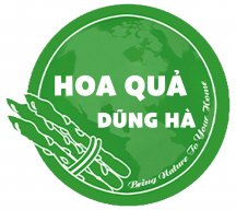 hoaquadungha